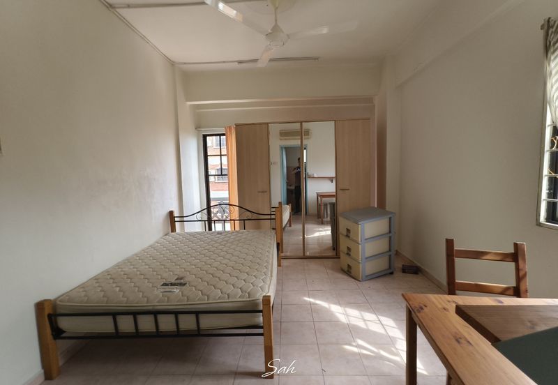 Evergreen Park Cypress