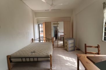 Evergreen Park Cypress