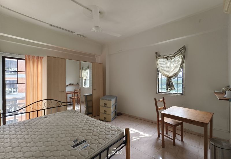 Evergreen Park Cypress