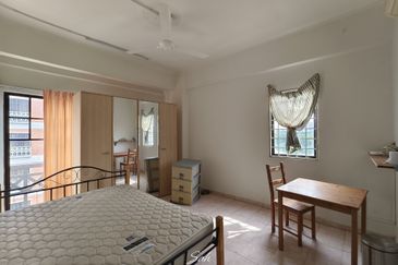 Evergreen Park Cypress