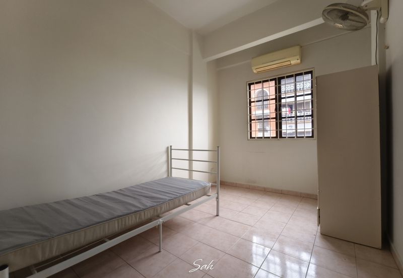 Evergreen Park Cypress