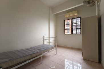 Evergreen Park Cypress