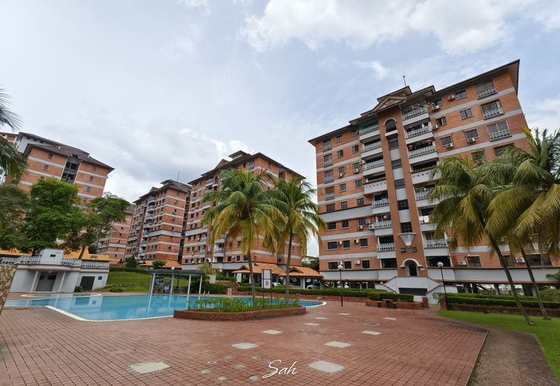 Evergreen Park Acorn and Hazel