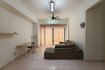 Evergreen Park Acorn and Hazel