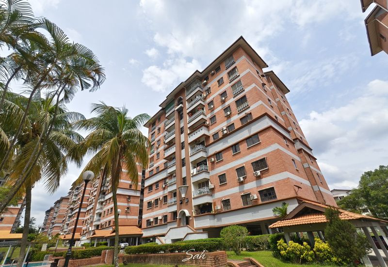 Evergreen Park Acorn and Hazel