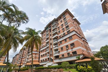 Evergreen Park Acorn and Hazel