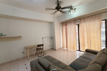 Evergreen Park Acorn and Hazel