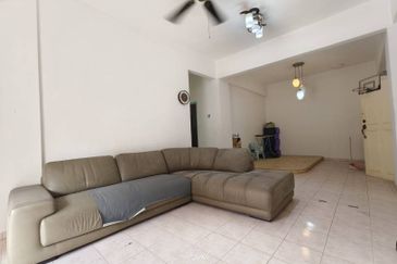 Evergreen Park Acorn and Hazel