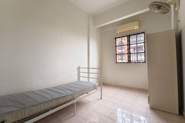 Evergreen Park Acorn and Hazel