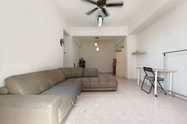 Evergreen Park Acorn and Hazel