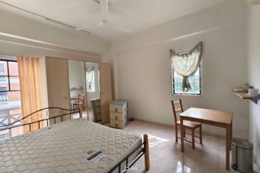 Evergreen Park Acorn and Hazel