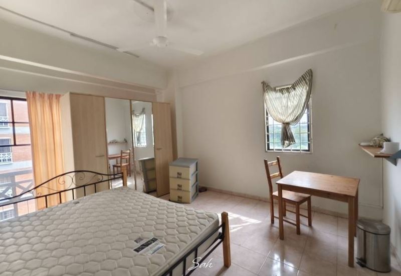 Evergreen Park Acorn and Hazel