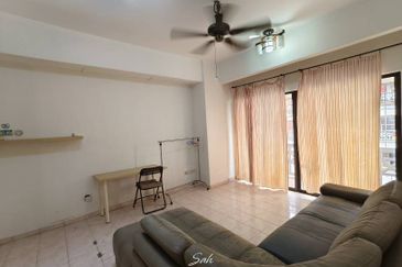 Evergreen Park Acorn and Hazel