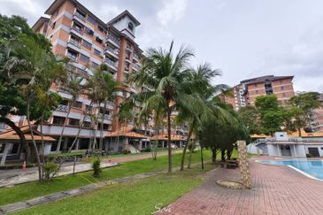 Evergreen Park Acorn and Hazel