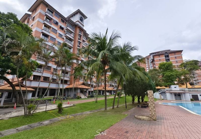 Evergreen Park Acorn and Hazel