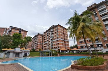Evergreen Park Acorn and Hazel