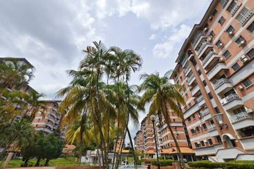 Evergreen Park Acorn and Hazel
