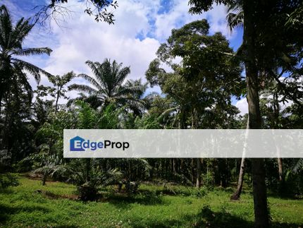 Industrial Land For Sale in Dengkil, Selangor, Dengkil
