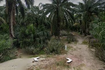 Agricultural Land For Sale in Jenjarom