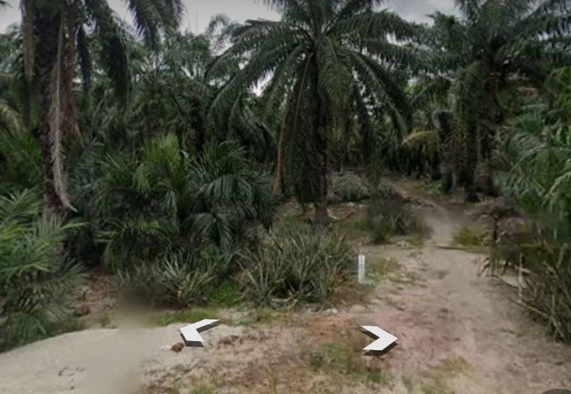 Agricultural Land For Sale in Jenjarom