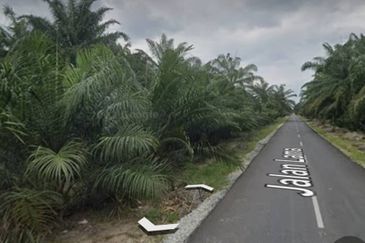 Agricultural Land For Sale in Jenjarom