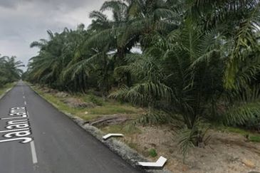 Agricultural Land For Sale in Jenjarom