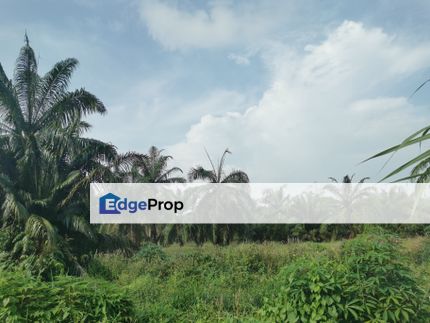 Agricultural Land For Sale in Kapar, Selangor, Kapar 