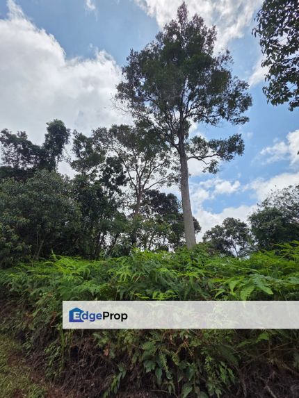 Land For Sale In Genting Highland, Pahang, Bentong