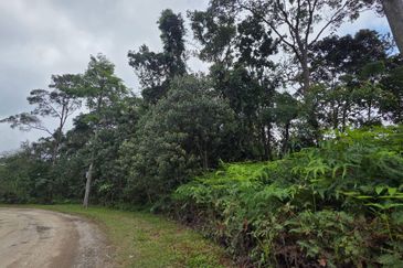 Land For Sale In Genting Highland