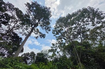 Land For Sale In Genting Highland