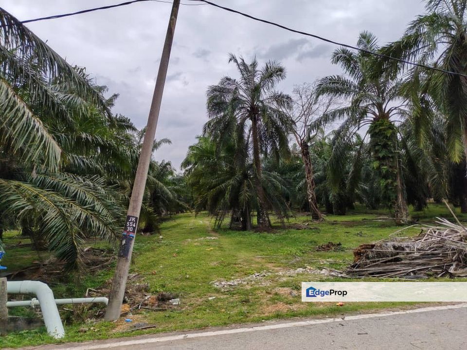 Industrial Land For Sale In Jeram, Selangor, Kuala Selangor