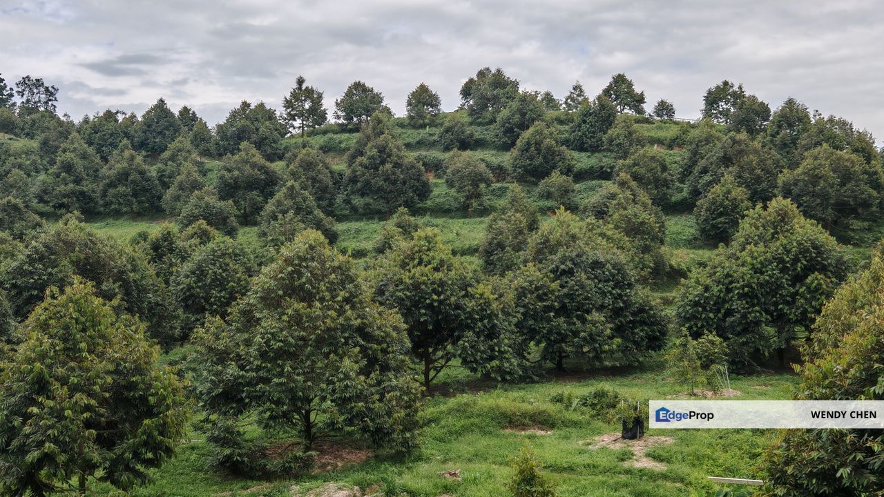 Kuala Kubu Baru, Kerling, Batang Kali , Selangor, Kuala Kubu Baru