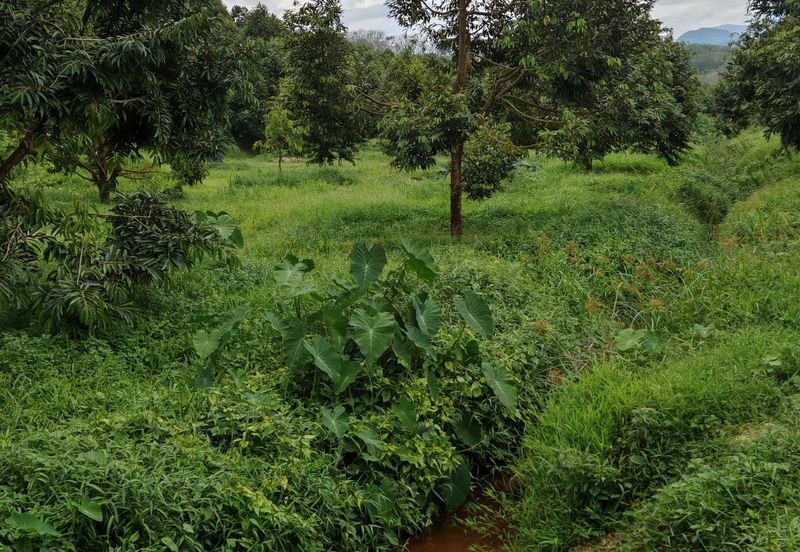Bandar Kuala Kubu Baharu