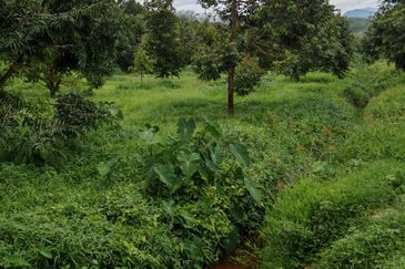 Bandar Kuala Kubu Baharu