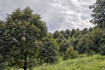 Bandar Kuala Kubu Baharu