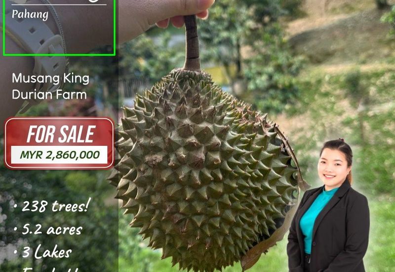 Bentong Durian
