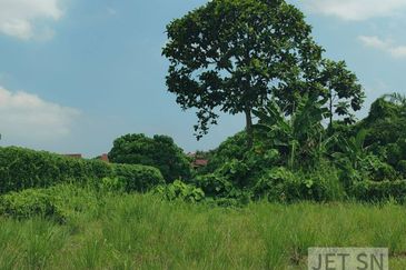 Kampung Jawa @ Klang