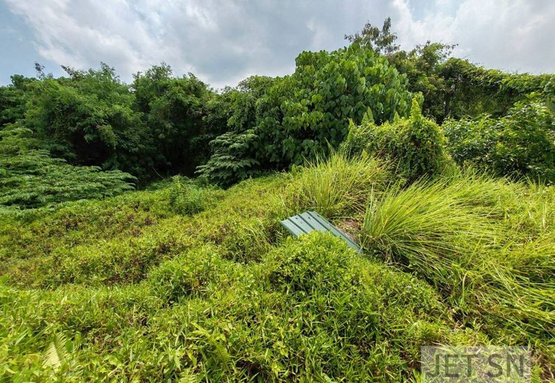 Kampung Jawa @ Klang