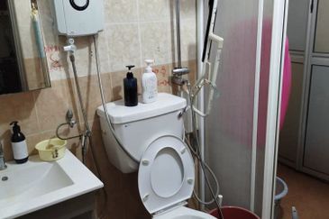 Anggerik Doritis @ Kota Kemuning