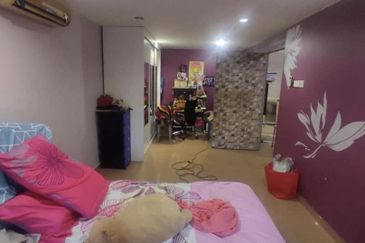 Anggerik Doritis @ Kota Kemuning