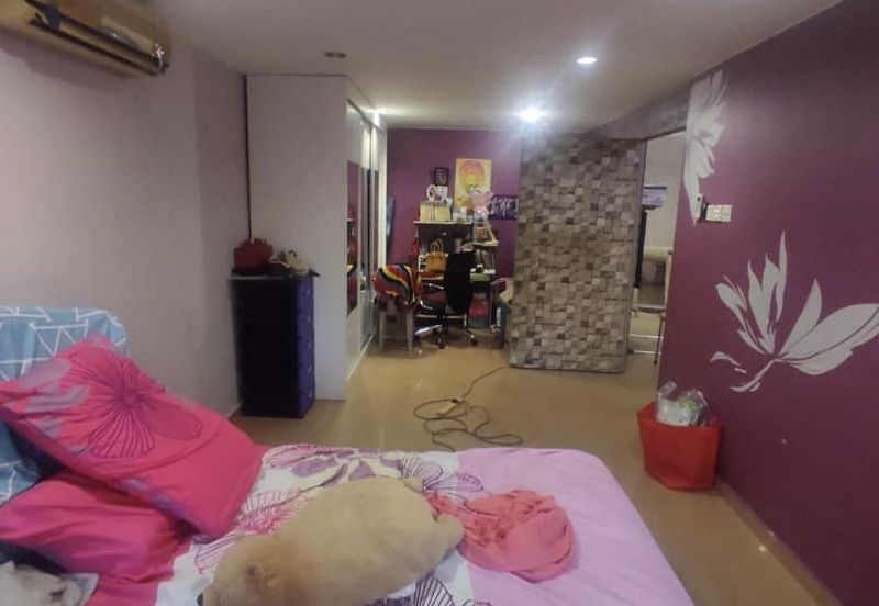 Anggerik Doritis @ Kota Kemuning