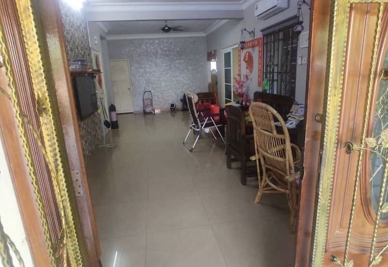 Anggerik Doritis @ Kota Kemuning