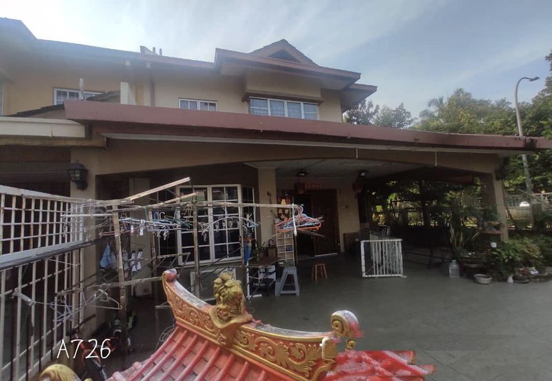 Anggerik Doritis @ Kota Kemuning