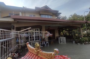 Anggerik Doritis @ Kota Kemuning