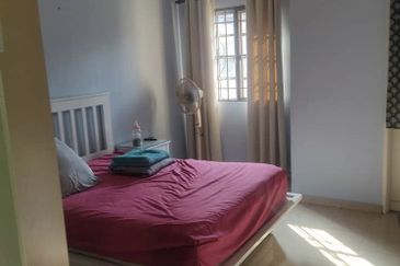 Anggerik Doritis @ Kota Kemuning