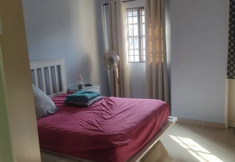 Anggerik Doritis @ Kota Kemuning