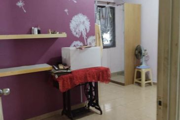 Anggerik Doritis @ Kota Kemuning