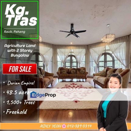 👑 Durian Empire Awaits 💰 Strategic Agri-Investment 🌳 Durian Farm with Hilltop Bungalow Retreat  @ Kampung Tras, Raub │ 榴莲帝国 • 策略性农业投资 • 山顶别墅度假屋待售, Pahang, Bentong
