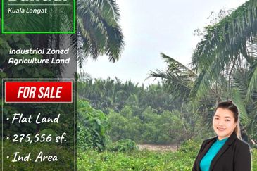 Telok Panglima Garang