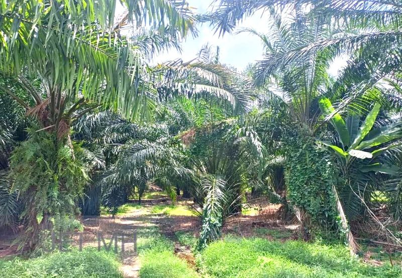 Telok Panglima Garang